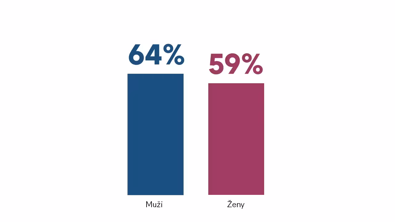 Graf06 Svk Definicie Spravne Zeny Vs Muzi Intrum ECPR2020 Europeanmoneyweak