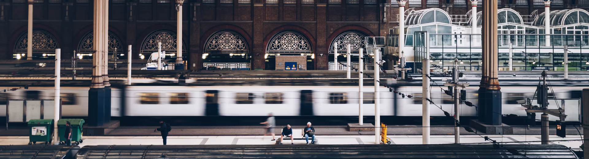 Špičkové znalosti a odbornosť